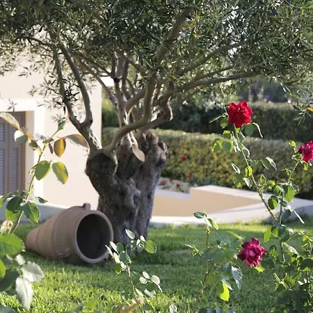 Costa Rossa -adults Only 3*